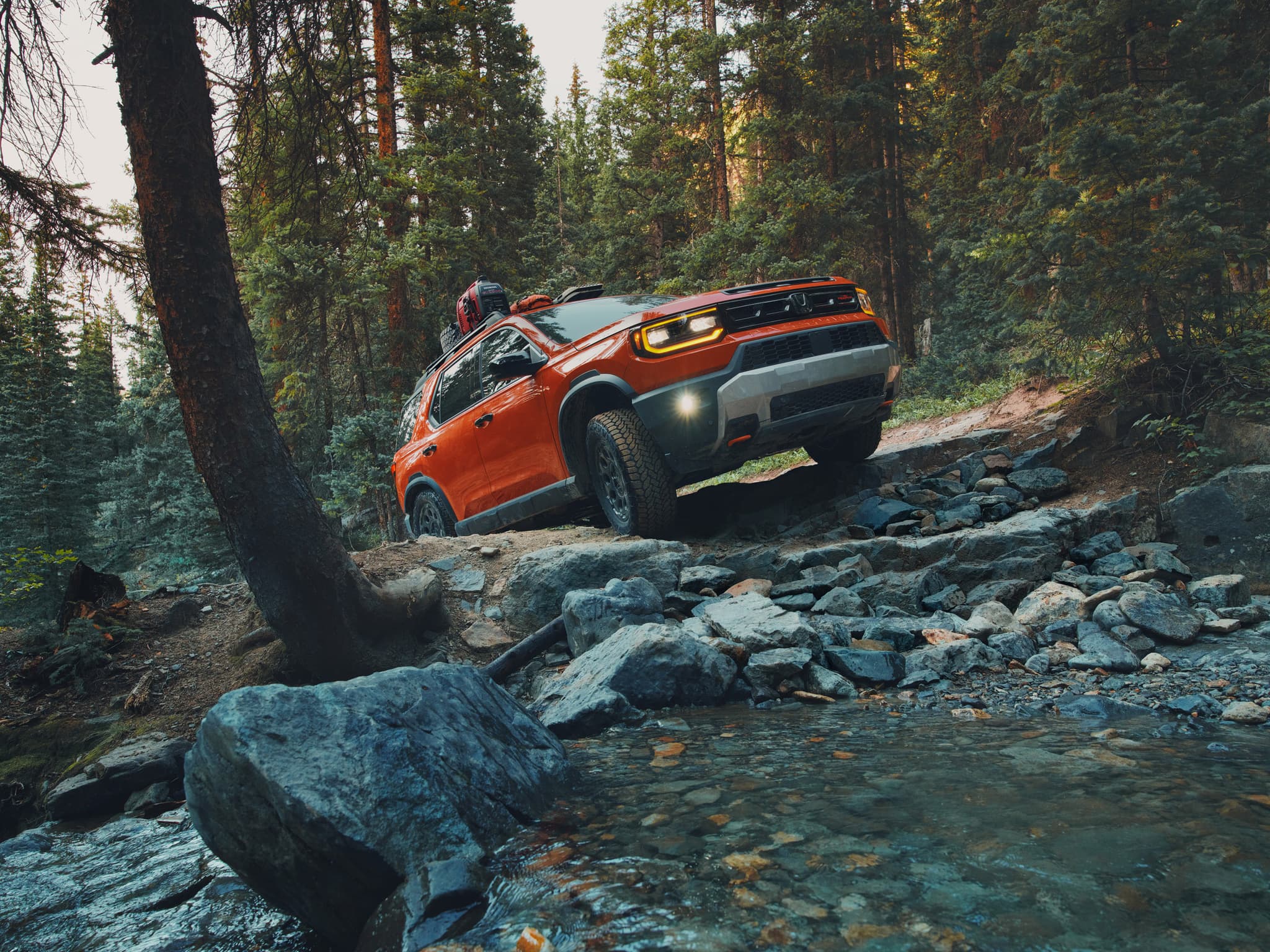 honda passport 10