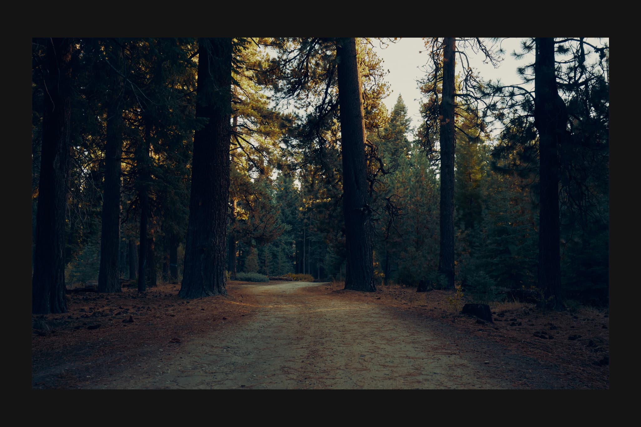 notes from the road 14
